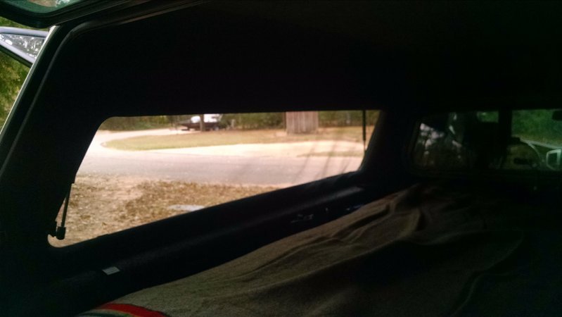 IMG_20161104_154620479.jpg