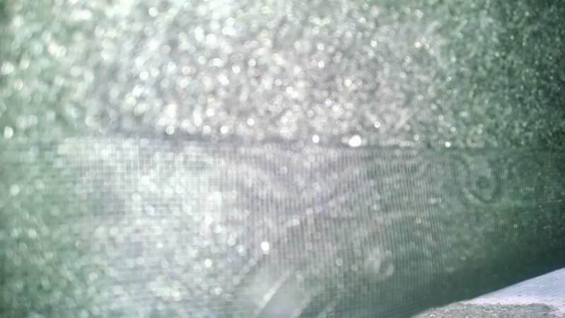 IMG_20161104_154640226.jpg