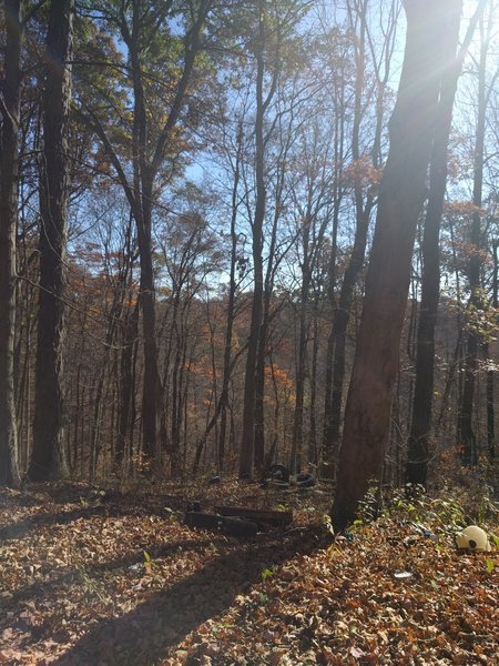 IMG_20161106_112245.jpg