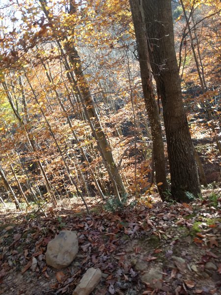 IMG_20161106_143712.jpg