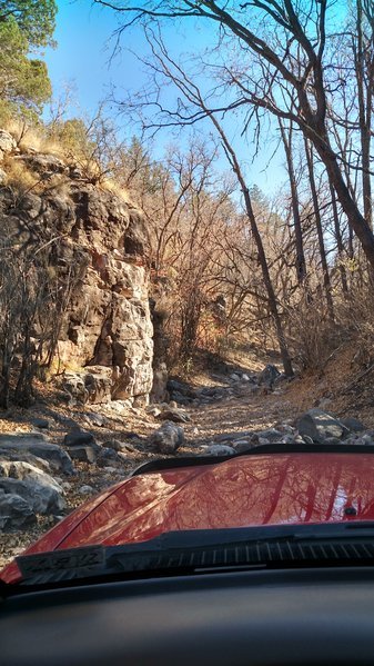 IMG_20161111_135332320_HDR.jpg