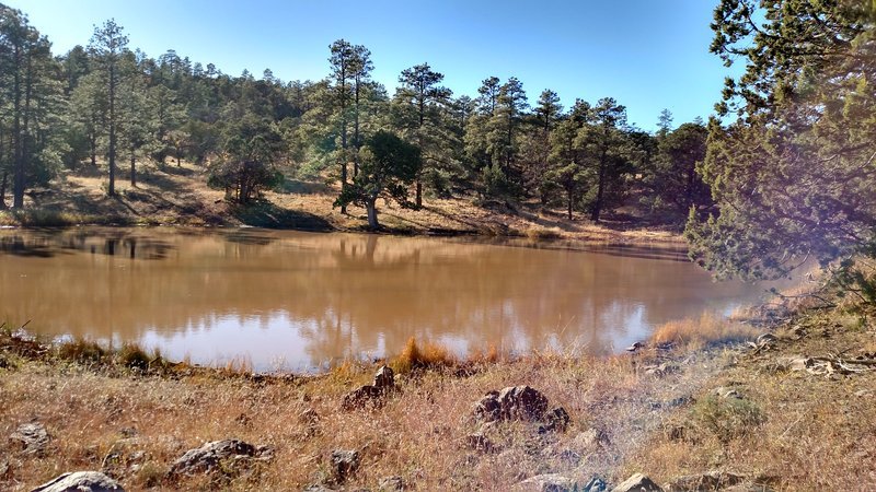 IMG_20161111_145451589_HDR.jpg