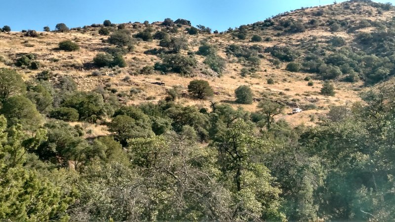 IMG_20161118_131913484_HDR.jpg