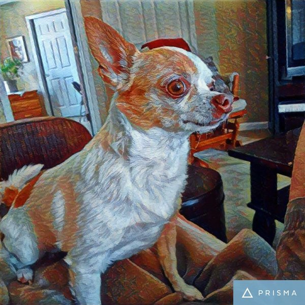 IMG_20161121_021605_processed.jpg
