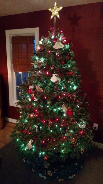 IMG_20161204_170517859.jpg