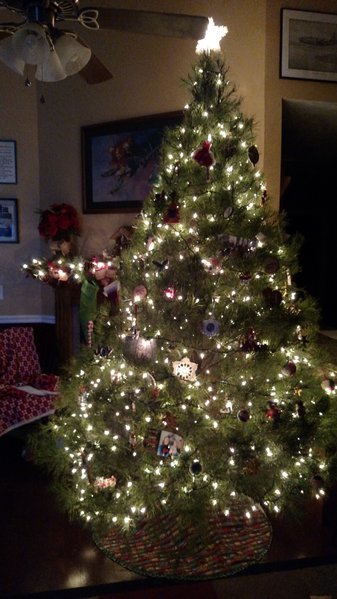 IMG_20161206_200739621.jpg