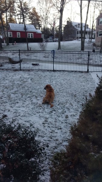 IMG_20161230_080954369.jpg