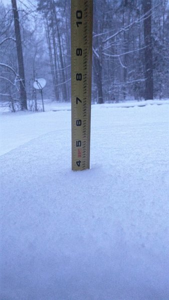 IMG_20170107_072648.jpg