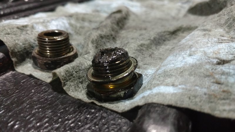 IMG_20170114_182256719.jpg