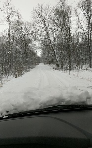 IMG_20170131_130755_01.jpg