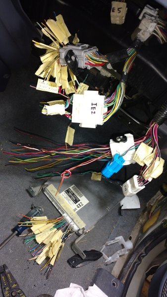 IMG_20170303_161510482.jpg