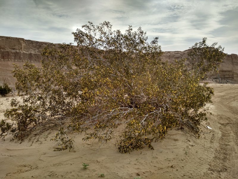 IMG_20170304_101649023_HDR.jpg
