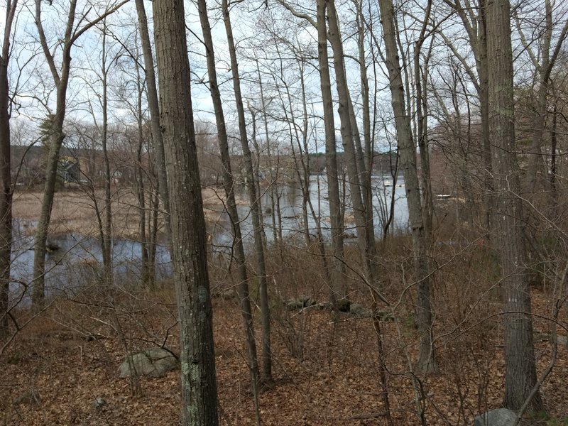 IMG_20170420_131659153.jpg