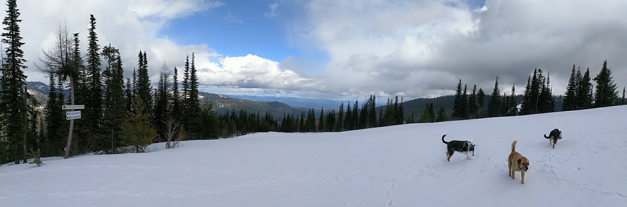IMG_20170421_145746052.jpg