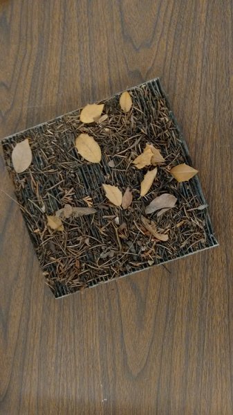 IMG_20170502_093203108.jpg