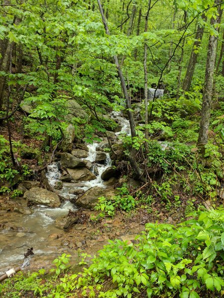 IMG_20170505_140319.jpg