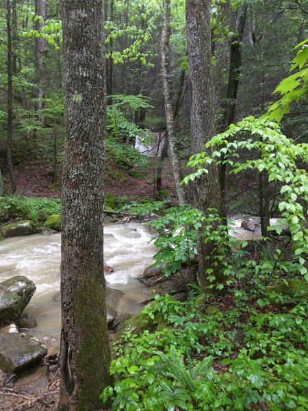 IMG_20170505_161210.jpg