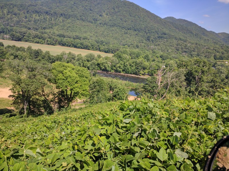 IMG_20170602_161101.jpg