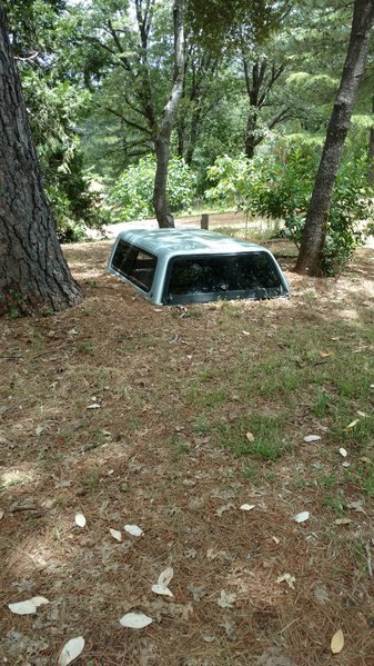 IMG_20170611_133241067.jpg
