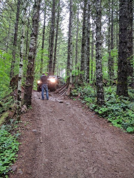 IMG_20170616_194458.jpg