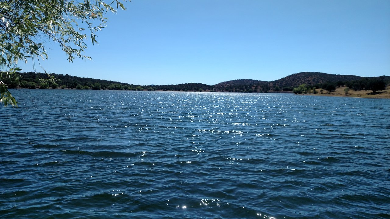 IMG_20170630_150916314.jpg