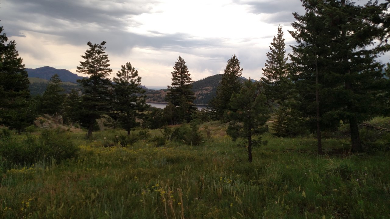 IMG_20170702_141323688.jpg