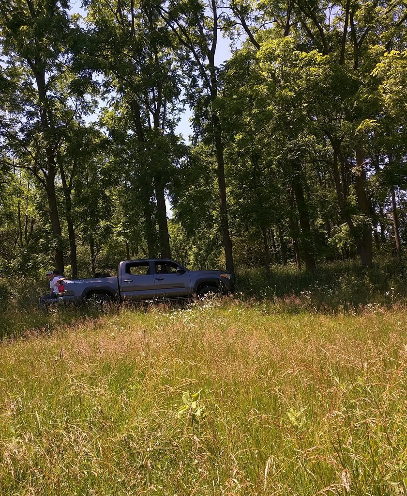 IMG_20170702_141609.jpg