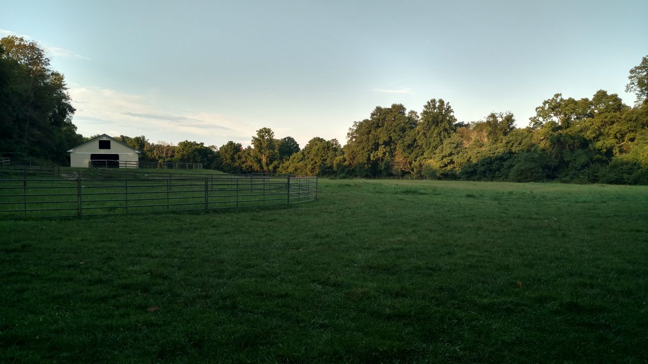 IMG_20170715_064825990_HDR.jpg