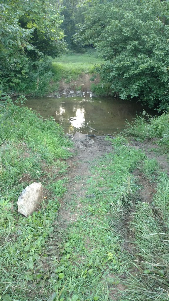 IMG_20170715_064849139.jpg
