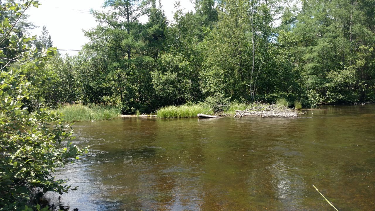 IMG_20170716_143654836.jpg