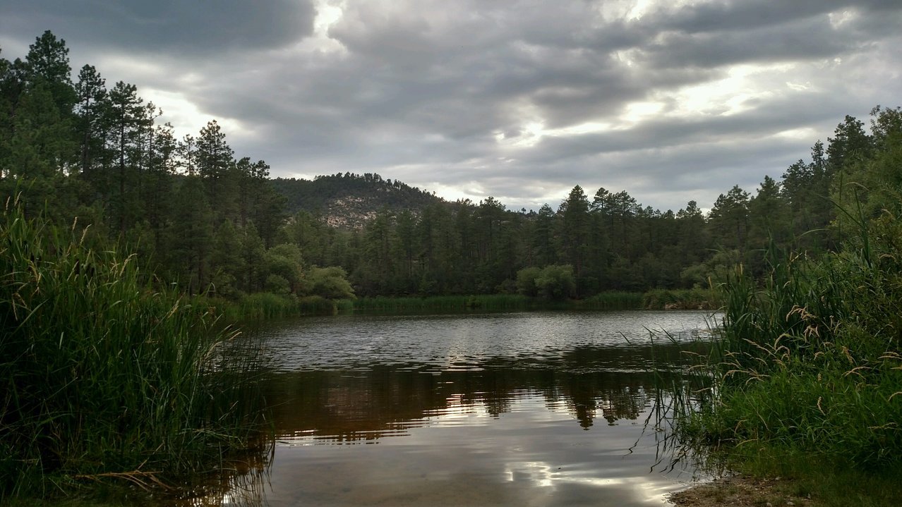 IMG_20170727_175140719_HDR.jpg