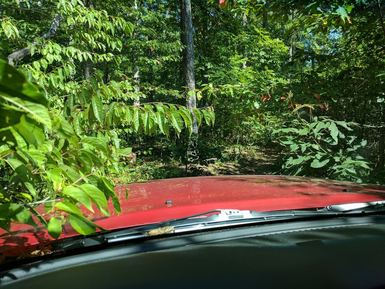 IMG_20170729_155853.jpg