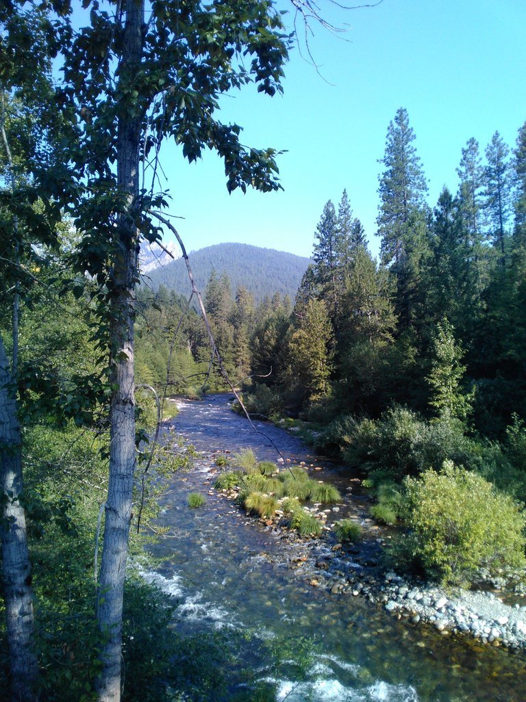 IMG_20170812_092752.jpg