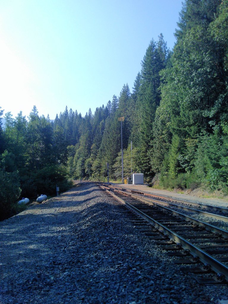 IMG_20170812_093245.jpg