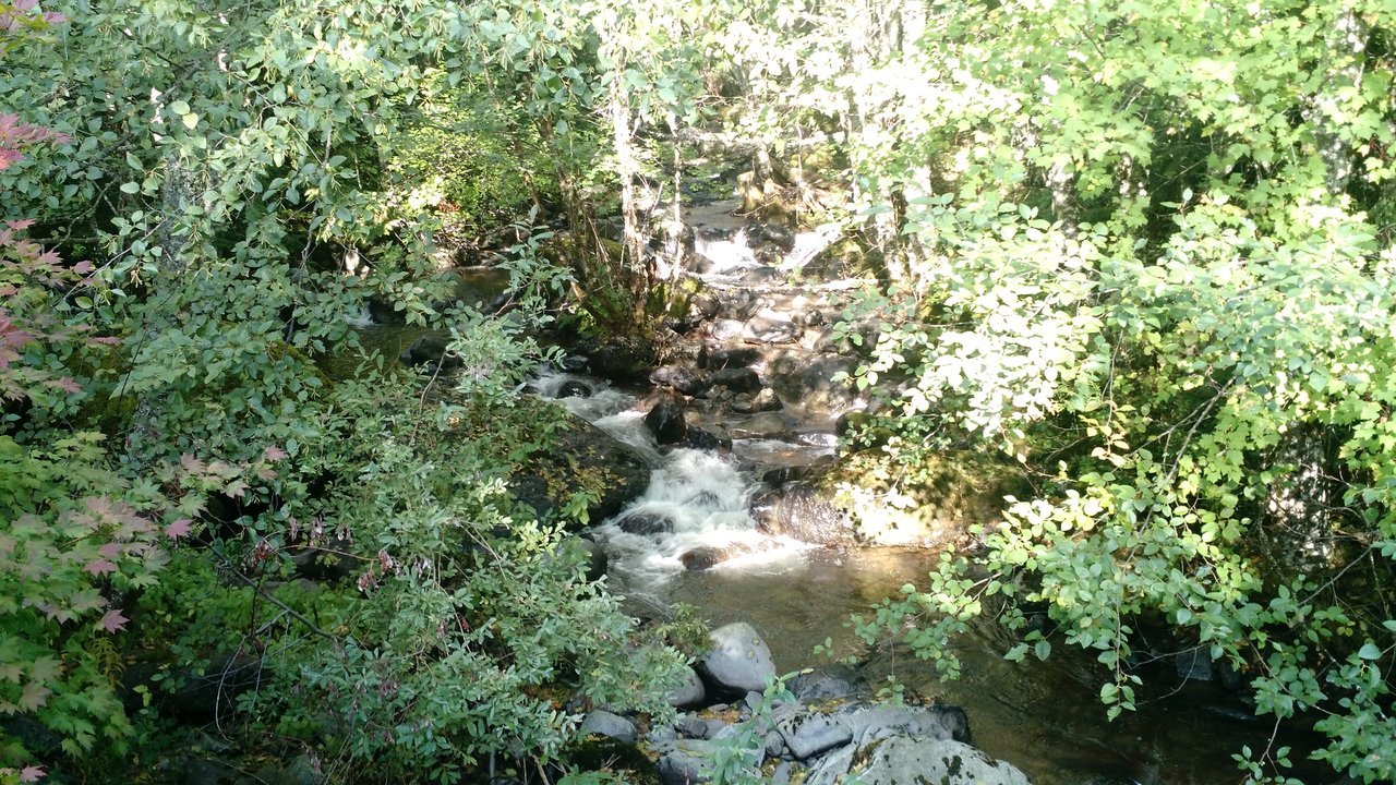 IMG_20171008_160050776.jpg