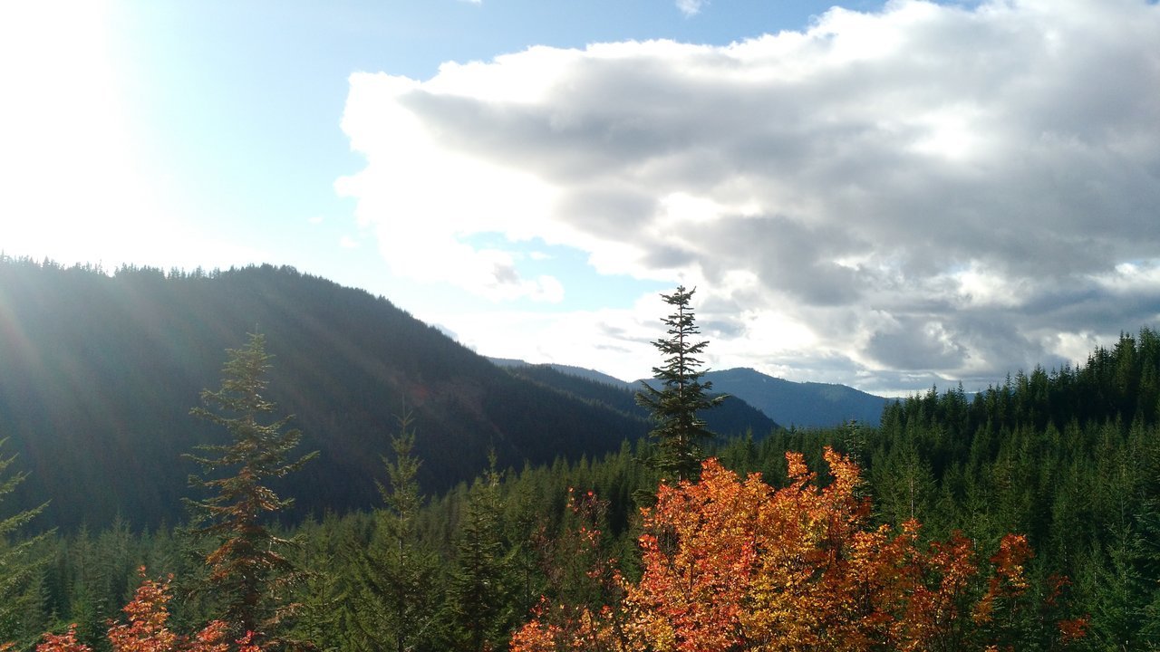 IMG_20171008_162903599.jpg
