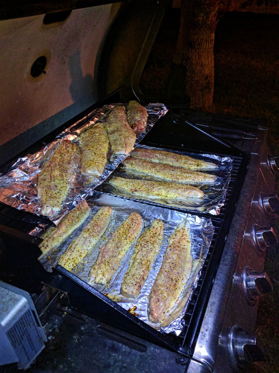 IMG_20171016_194228.jpg