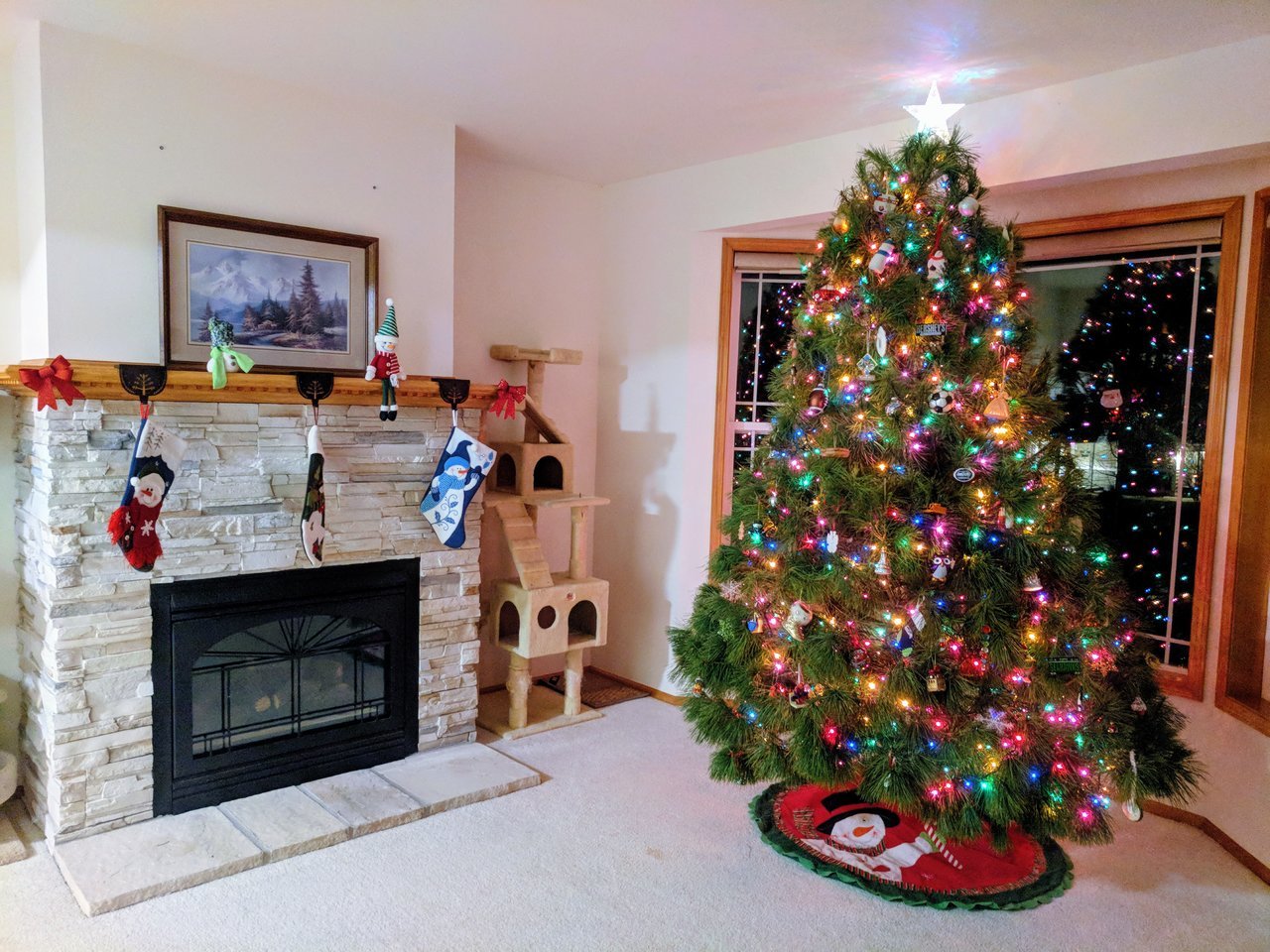 IMG_20171124_211211.jpg