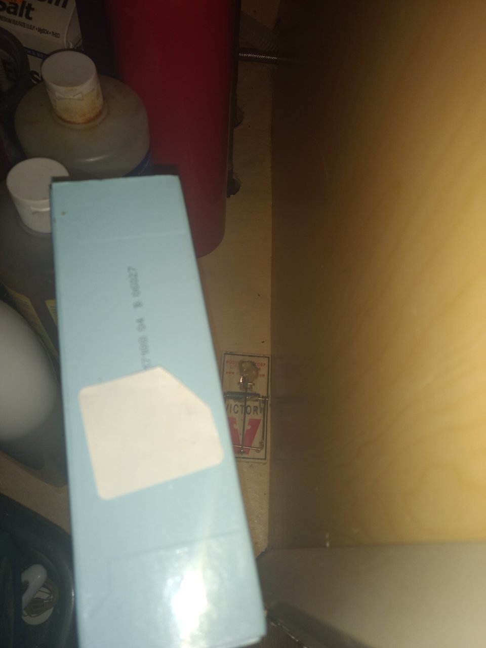 IMG_20171204_224031041.jpg
