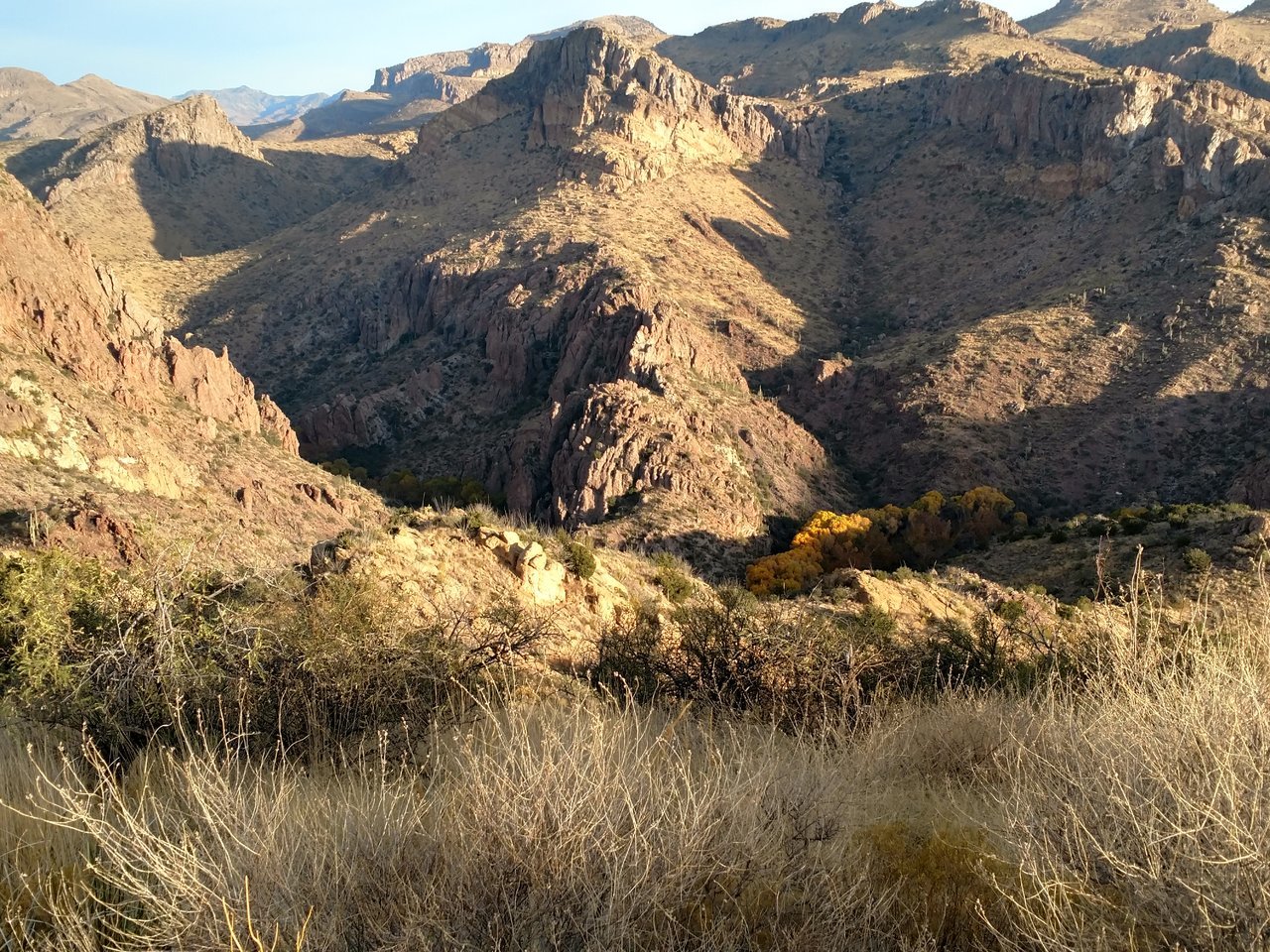 IMG_20171216_081332275_HDR.jpg
