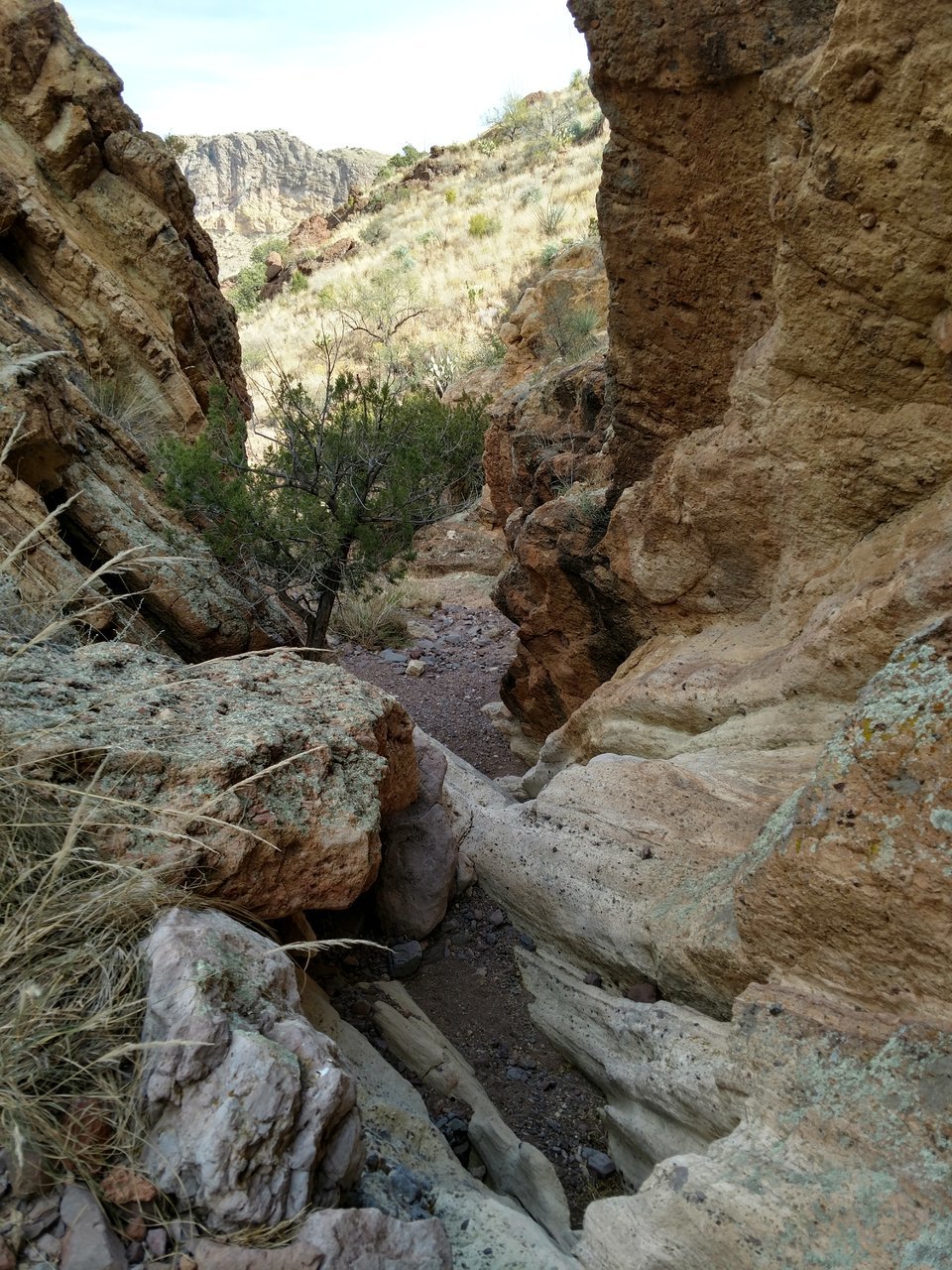 IMG_20171216_105958164_HDR.jpg