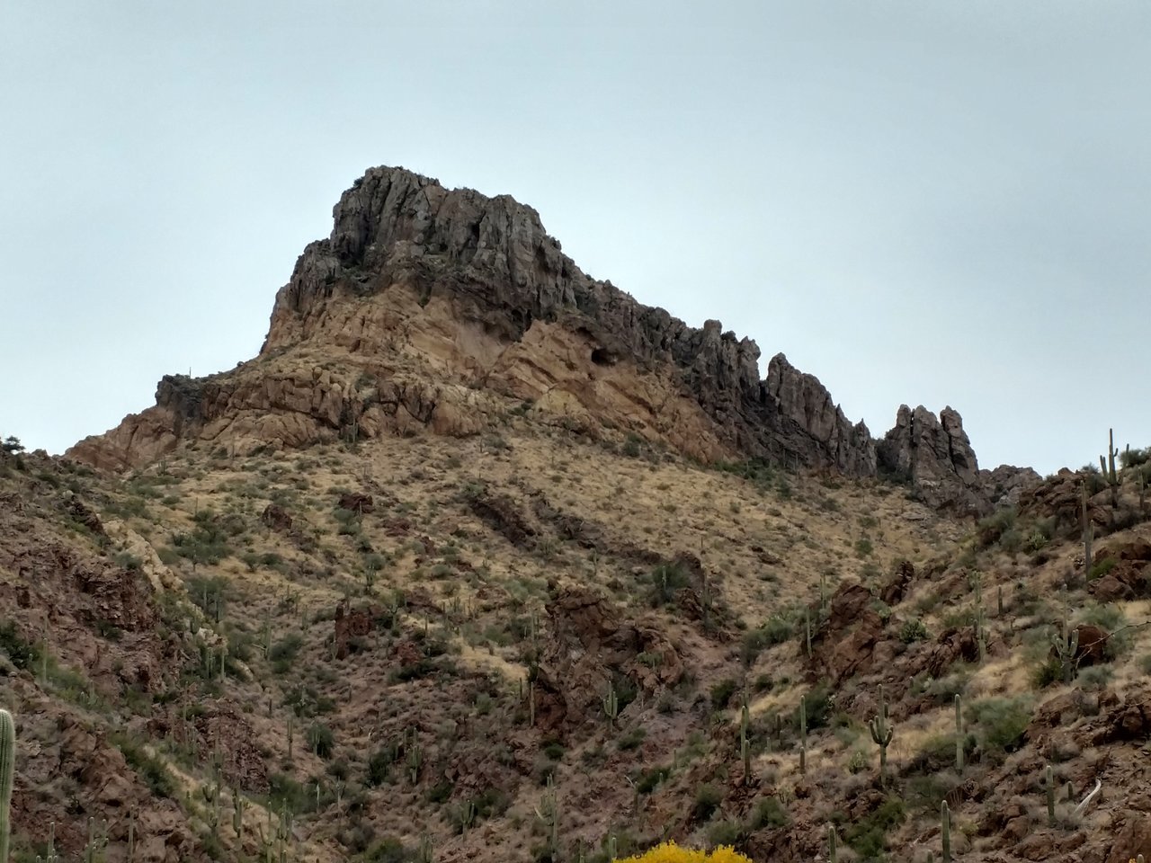 IMG_20171216_151134202_HDR.jpg