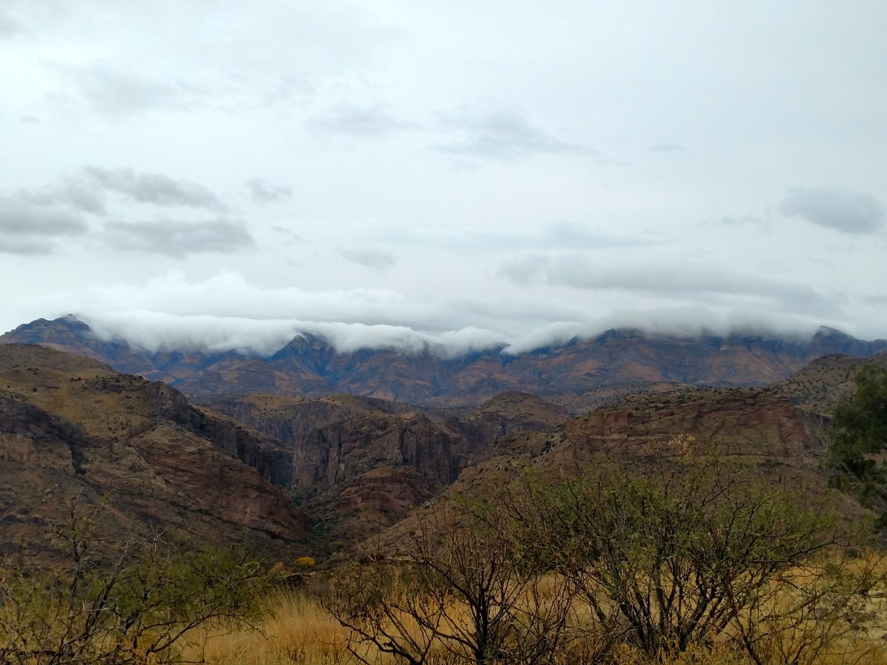 IMG_20171217_074120822_HDR.jpg