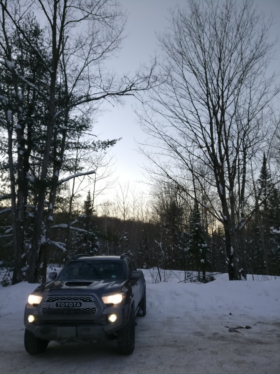 IMG_20180106_164556.jpg