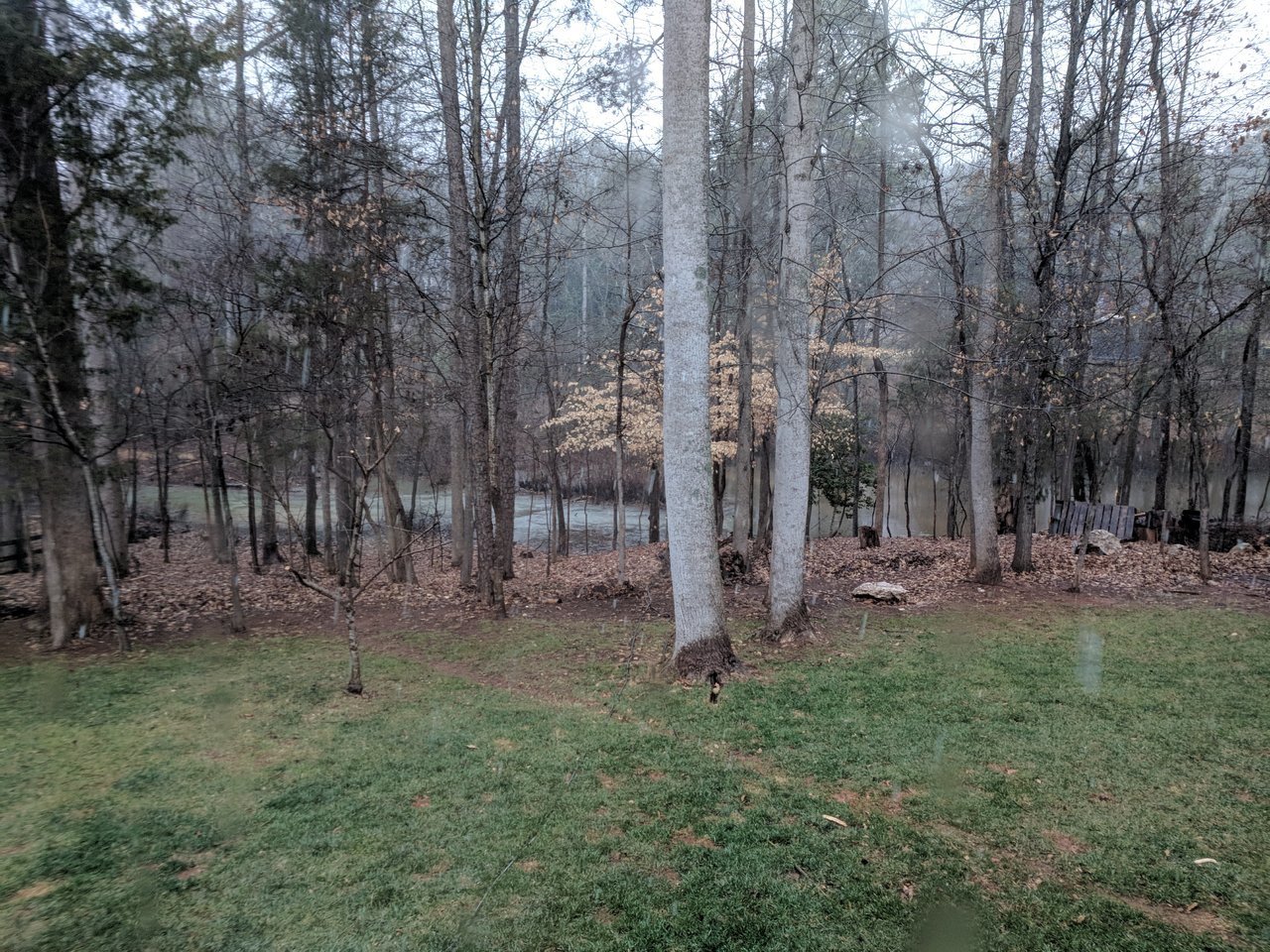 IMG_20180117_085215.jpg