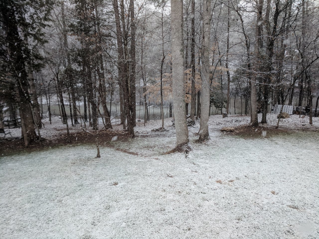 IMG_20180117_094652.jpg