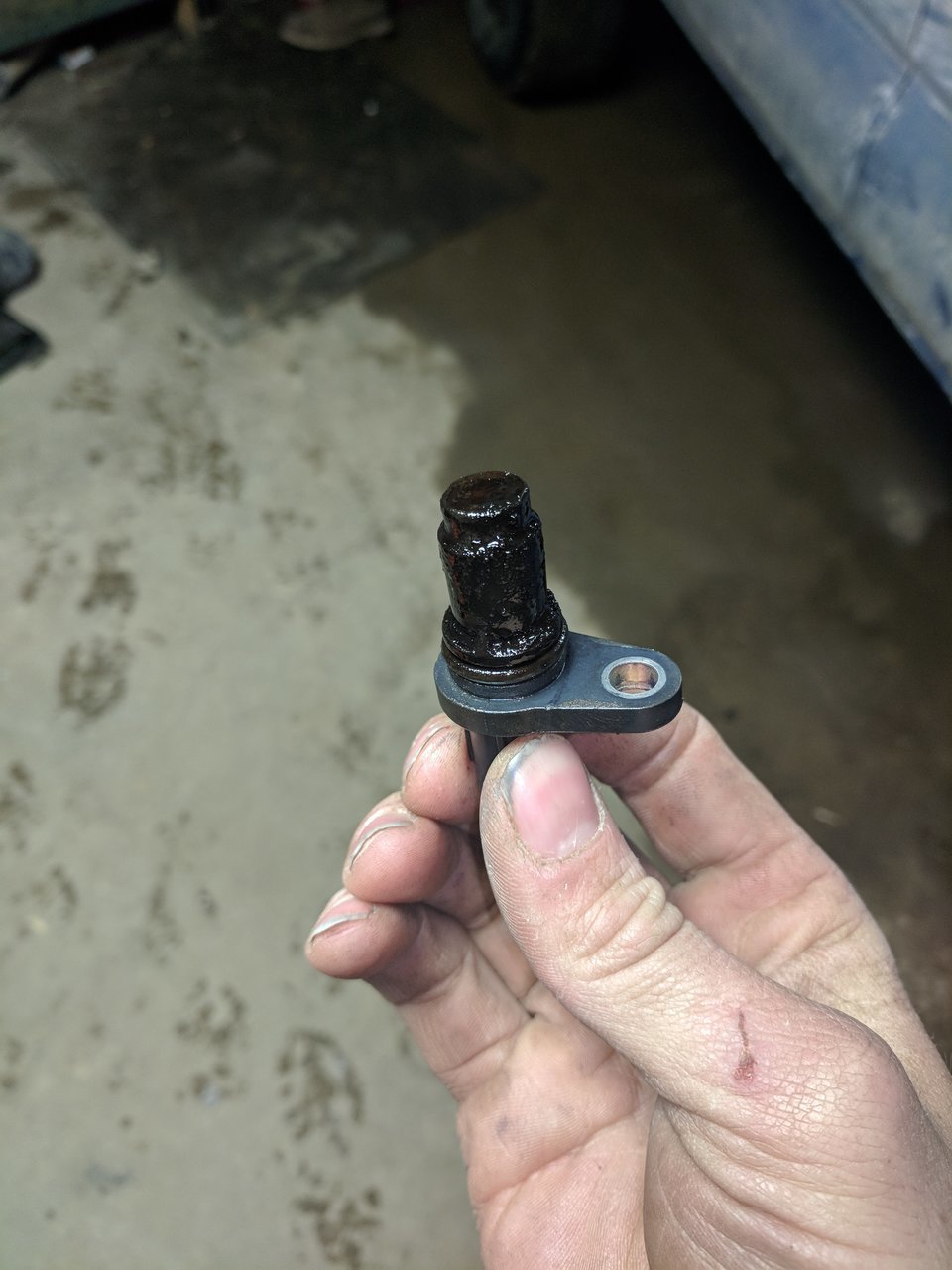 Camshaft Position Sensor Location Tacoma World