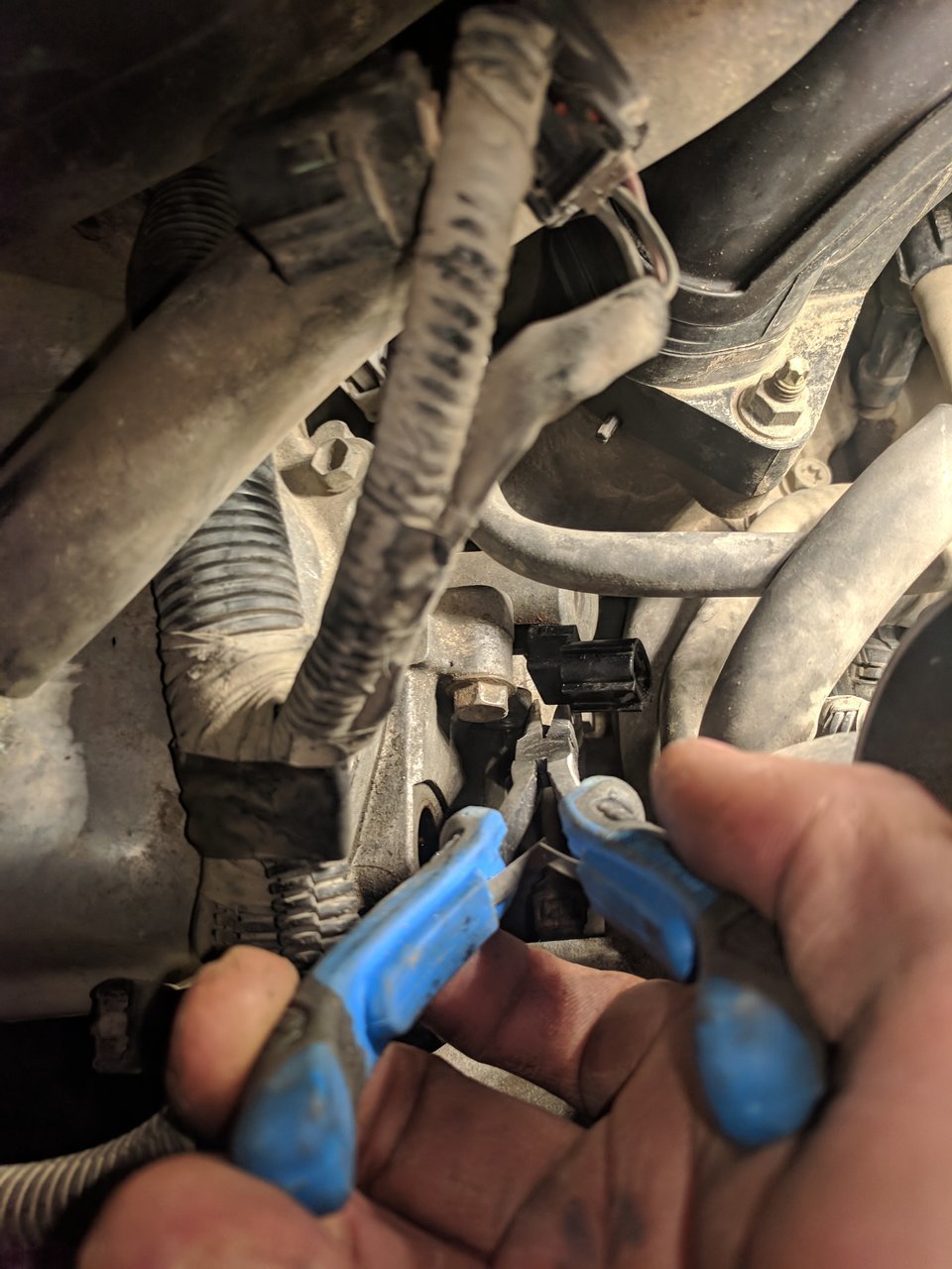 Camshaft Position Sensor Location Tacoma World