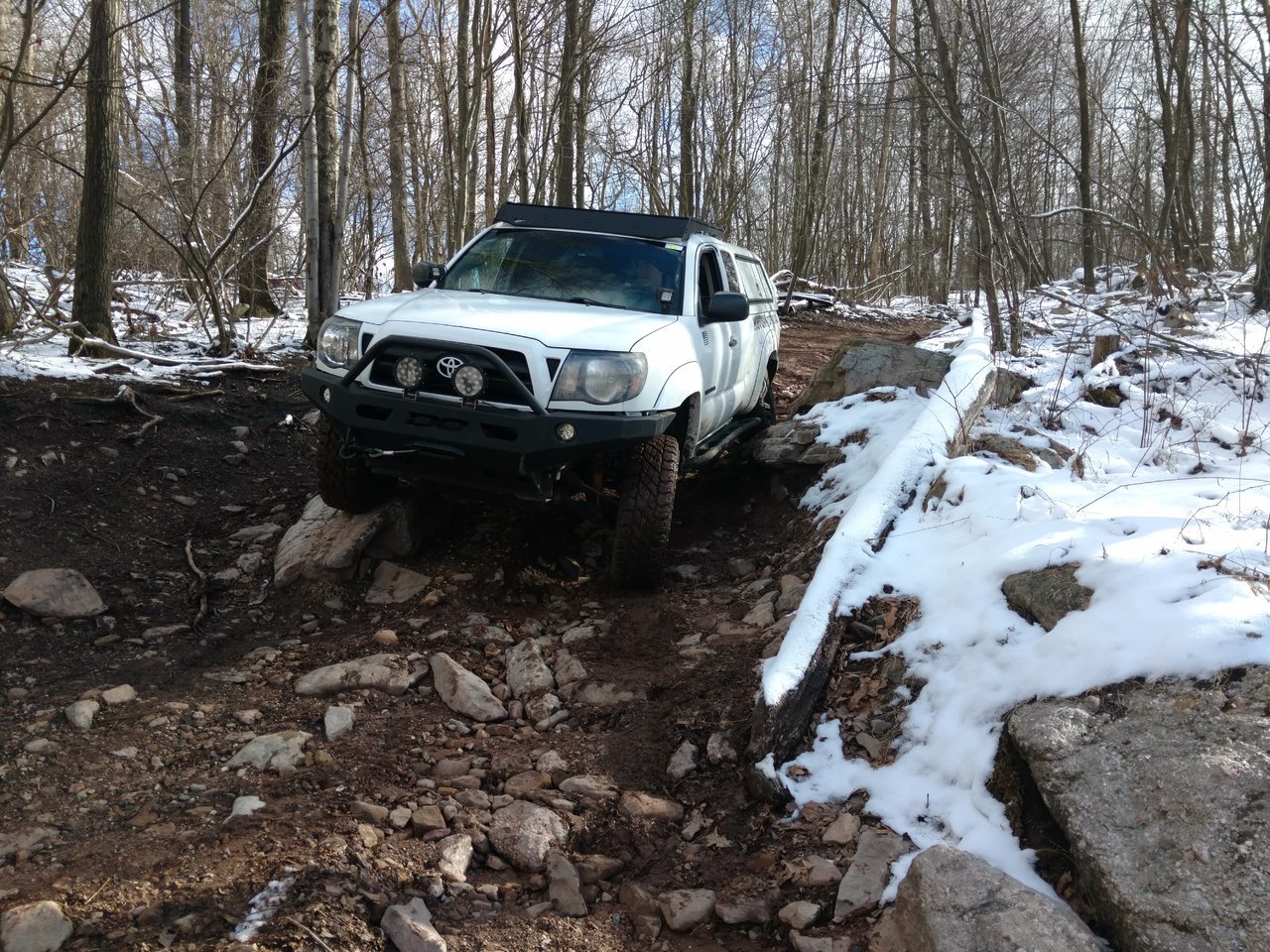 IMG_20180304_092431018.jpg