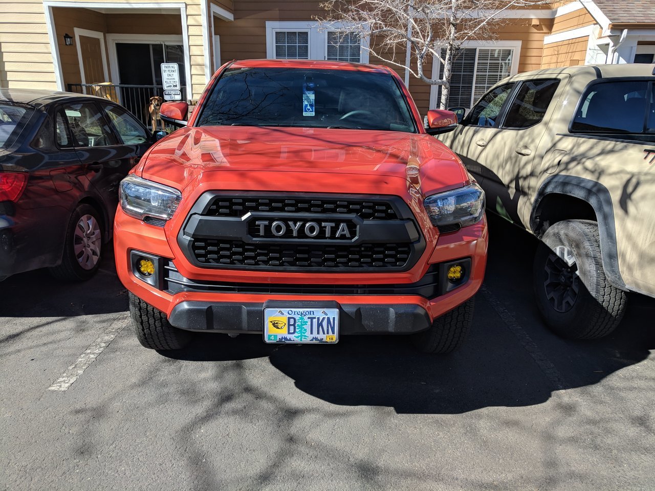 IMG_20180304_103010.jpg